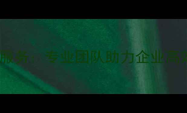 图片 网站关键词优化外包服务：专业团队助力企业高效提升搜索引擎排名1