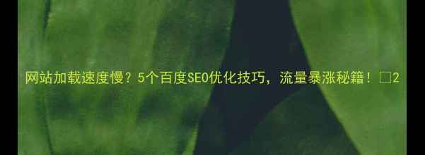 图片 网站加载速度慢？5个百度SEO优化技巧，流量暴涨秘籍！🚀2