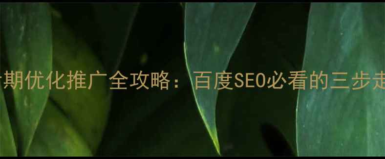 图片 网站后期优化推广全攻略：百度SEO必看的三步走策略2
