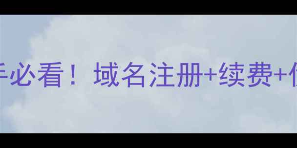 图片 网站域名费用交给谁？新手必看！域名注册+续费+优化全攻略（附避坑指南）