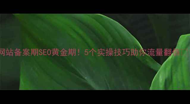 图片 网站备案期SEO黄金期！5个实操技巧助你流量翻倍🔥1