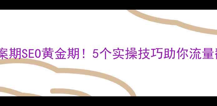图片 网站备案期SEO黄金期！5个实操技巧助你流量翻倍🔥2