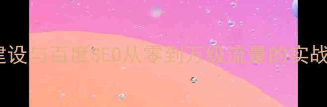 图片 网站建设与百度SEO从零到万级流量的实战指南1