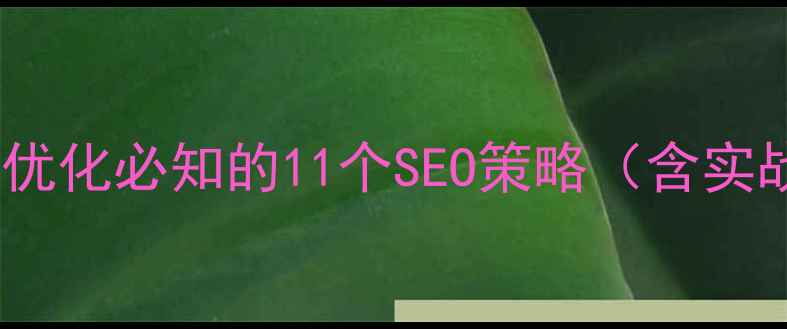 图片 网站建设优化必知的11个SEO策略（含实战案例）1