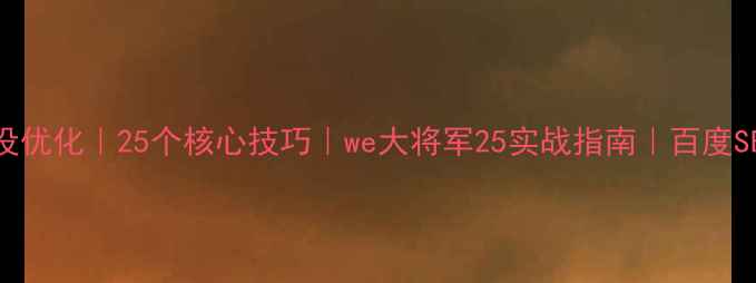 图片 网站建设优化｜25个核心技巧｜we大将军25实战指南｜百度SEO必备2