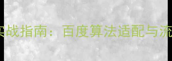 图片 网站排名优化实战指南：百度算法适配与流量提升全攻略2