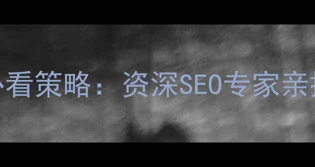 图片 网站排名优化必看策略：资深SEO专家亲授5大核心技巧2