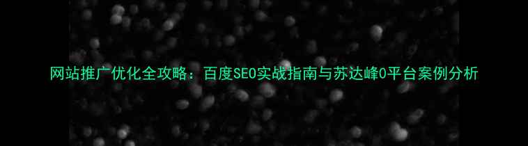 图片 网站推广优化全攻略：百度SEO实战指南与苏达峰0平台案例分析