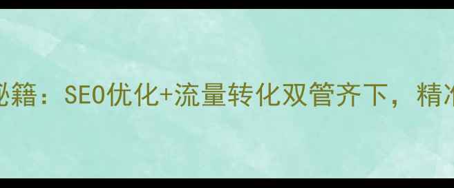 图片 网站推广秘籍：SEO优化+流量转化双管齐下，精准获客指南
