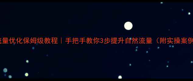 图片 网站流量优化保姆级教程｜手把手教你3步提升自然流量（附实操案例）🔥1