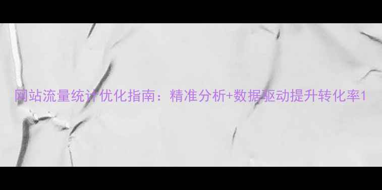 图片 网站流量统计优化指南：精准分析+数据驱动提升转化率1