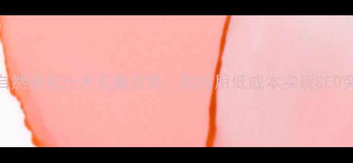 图片 网站自然优化十大实惠方案：如何用低成本实现SEO突破？