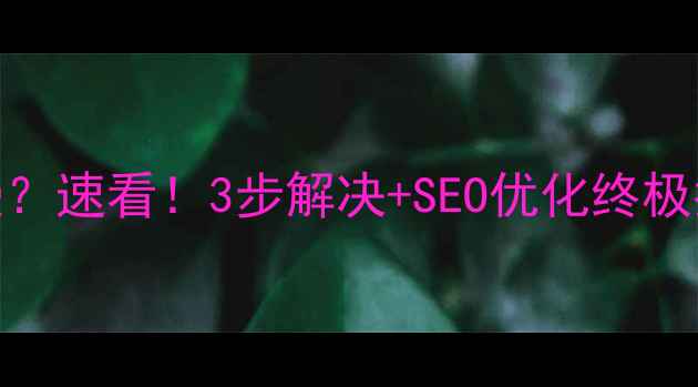 图片 网站访问速度慢？速看！3步解决+SEO优化终极指南（附案例）