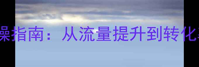 图片 网站诊断优化5步实操指南：从流量提升到转化率翻倍的SEO全攻略1