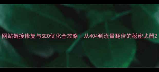 图片 网站链接修复与SEO优化全攻略｜从404到流量翻倍的秘密武器2