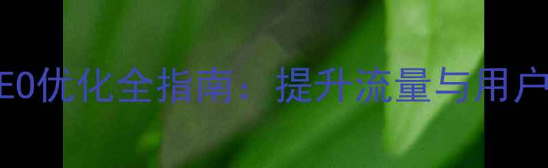 图片 网站音乐嵌入与SEO优化全指南：提升流量与用户体验的实战技巧1