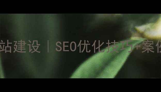 图片 网络优化工程师网站建设｜SEO优化技巧+案例｜流量暴涨指南1