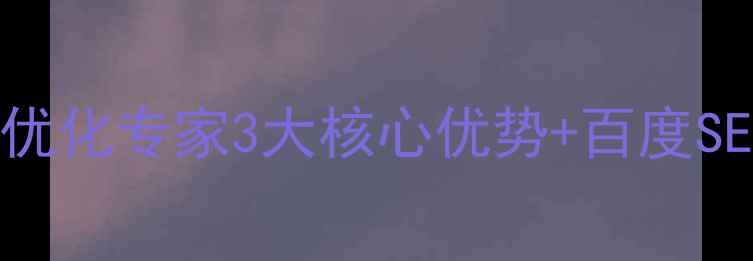 图片 网络科技网站优化专家3大核心优势+百度SEO实战案例全2