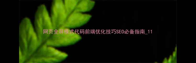 图片 网页全屏模式代码前端优化技巧SEO必备指南_11
