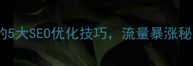 图片 网页设计师必学的5大SEO优化技巧，流量暴涨秘籍！附实操案例2