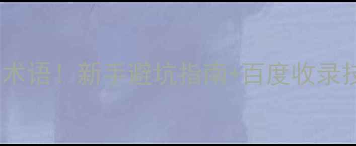 图片 网页设计必懂10大术语！新手避坑指南+百度收录技巧（附案例）🔥2