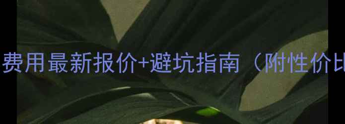 图片 网页设计费用最新报价+避坑指南（附性价比攻略）2