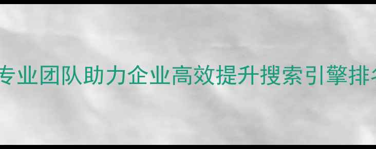 图片 罗湖网站优化排名服务｜专业团队助力企业高效提升搜索引擎排名（深圳本地精准覆盖）1