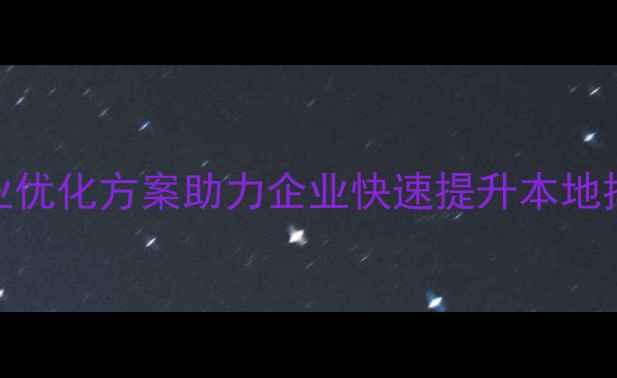 图片 聊城百度SEO服务｜专业优化方案助力企业快速提升本地排名｜百度认证服务商1