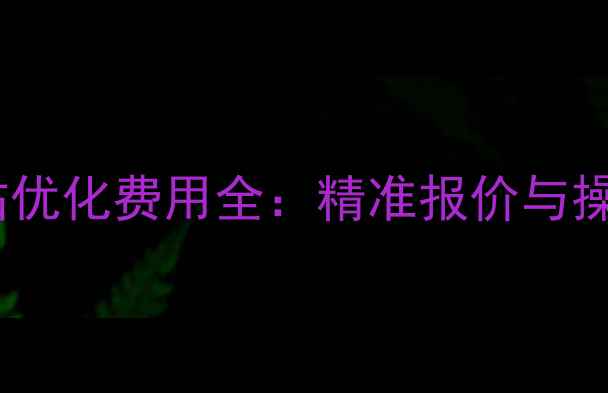 图片 自贡网站优化费用全：精准报价与操作指南2