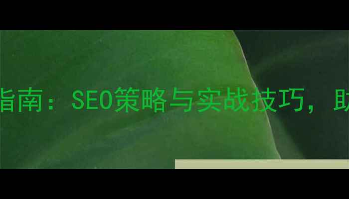 图片 舟山市企业网站优化指南：SEO策略与实战技巧，助您快速提升本地排名