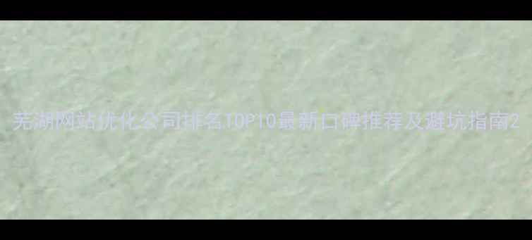 图片 芜湖网站优化公司排名TOP10最新口碑推荐及避坑指南2