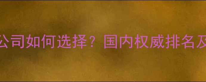 图片 芯片设计公司如何选择？国内权威排名及选型指南