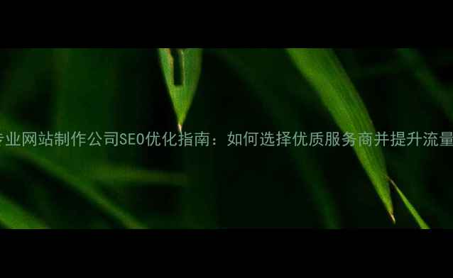 图片 苏州专业网站制作公司SEO优化指南：如何选择优质服务商并提升流量转化1