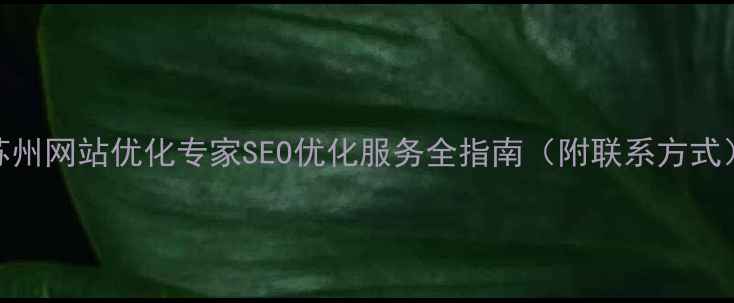 图片 苏州网站优化专家SEO优化服务全指南（附联系方式）
