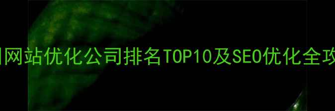 图片 苏州网站优化公司排名TOP10及SEO优化全攻略2