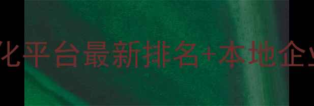 图片 苏州网站优化平台最新排名+本地企业实操指南1