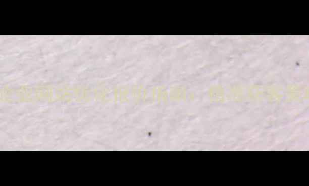 图片 荣成本地企业网站优化报价指南：精准获客策略与成本1