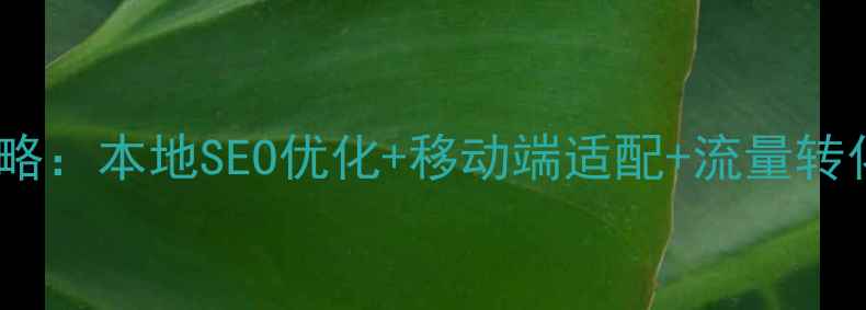 图片 莱芜企业网站优化全攻略：本地SEO优化+移动端适配+流量转化方案（附实战案例）1