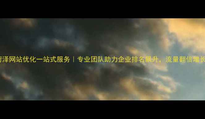 图片 菏泽网站优化一站式服务｜专业团队助力企业排名飙升，流量翻倍增长1