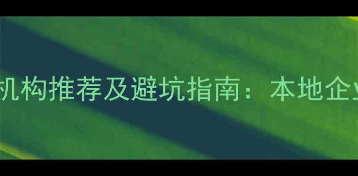图片 营口网站优化排名第一的机构推荐及避坑指南：本地企业如何快速提升流量转化1
