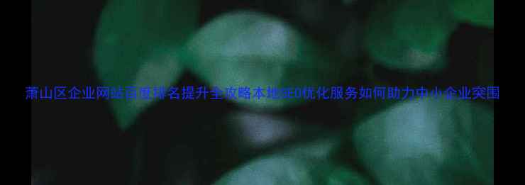 图片 萧山区企业网站百度排名提升全攻略本地SEO优化服务如何助力中小企业突围