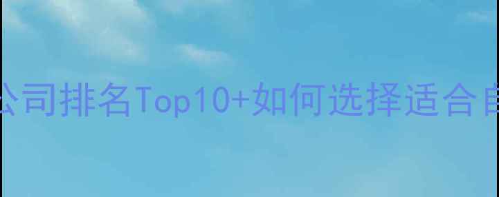 图片 行业网站优化公司排名Top10+如何选择适合自己的服务商？