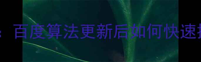 图片 被降权网站权重恢复指南：百度算法更新后如何快速提升排名（附实操步骤）2