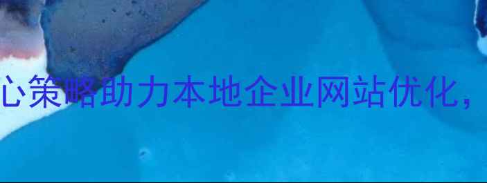 图片 西乡网站建设必看3大核心策略助力本地企业网站优化，流量翻倍秘籍大公开！2