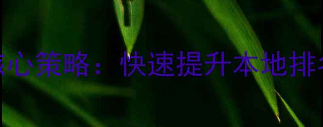 图片 西安企业网站优化5大核心策略：快速提升本地排名与转化率的实操指南1