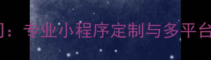 图片 西安微信开发公司：专业小程序定制与多平台解决方案服务商2