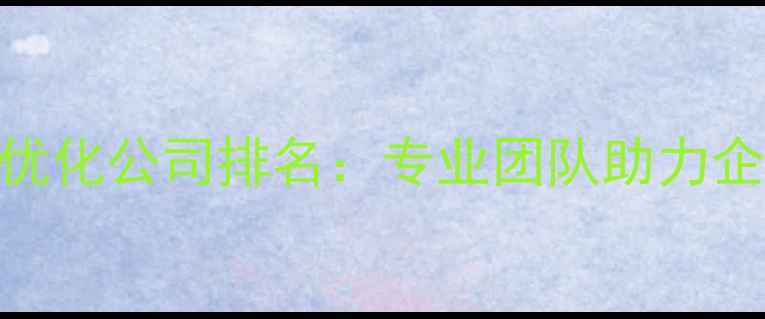 图片 西湖区网站优化公司排名：专业团队助力企业SEO升级1