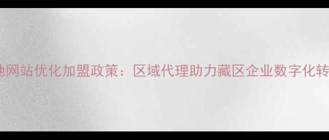 图片 西藏本地网站优化加盟政策：区域代理助力藏区企业数字化转型指南1