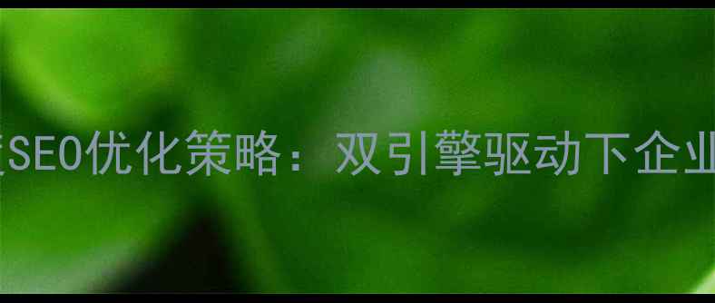 图片 谷歌泛站优化与百度SEO优化策略：双引擎驱动下企业网站流量提升指南1
