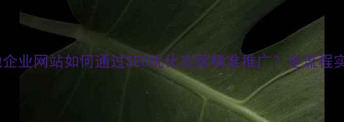 图片 贵阳本地企业网站如何通过SEO优化实现精准推广？全流程实操指南1